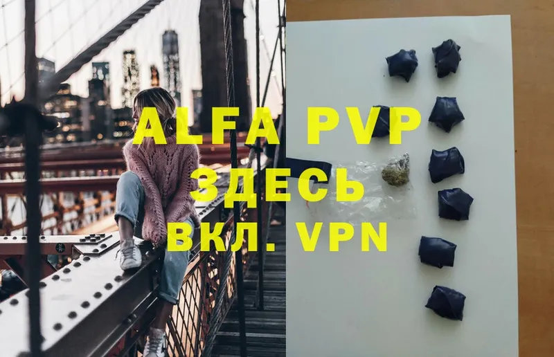 Alfa_PVP СК  Выборг 